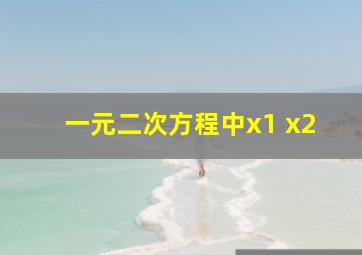 一元二次方程中x1 x2